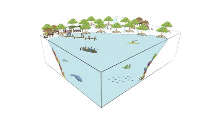 INVEST IN MANGROVES