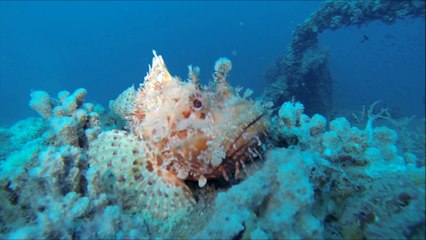 Plongée mélanges nitrox-trimix CNP Avril 2014