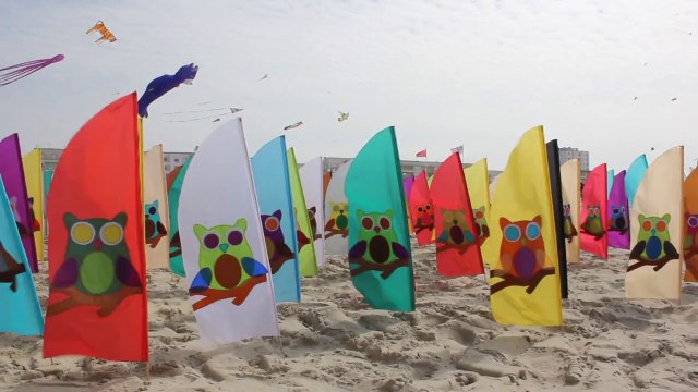 Berck : les cerfs-volants ont pris leur envol pour la première journée des RICV