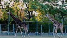 Zoo de Buenos Aires