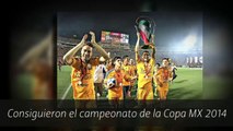 Ver Tigres vs Tijuana En Vivo 12 de Abril del 2014 Liga MX Clausura 2014