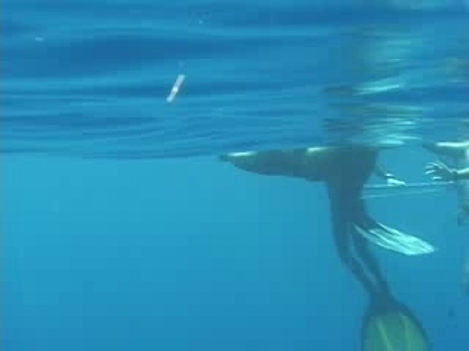 stepanek -100m constant freediving