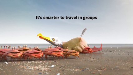 Take The Bus Ad Commercial De Lijn - Crabs