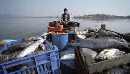 إعلان فيلم (السمك) ل (بولنت اينال)مترجم للعربية