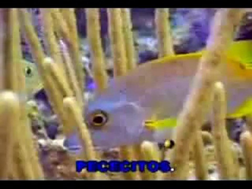 Dios Hizo