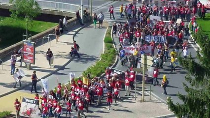 Féria 2013 Alès - Manifestation anti-corrida