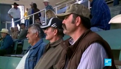 25/03/2014 FOCUS - 25/03/2014 FOCUS