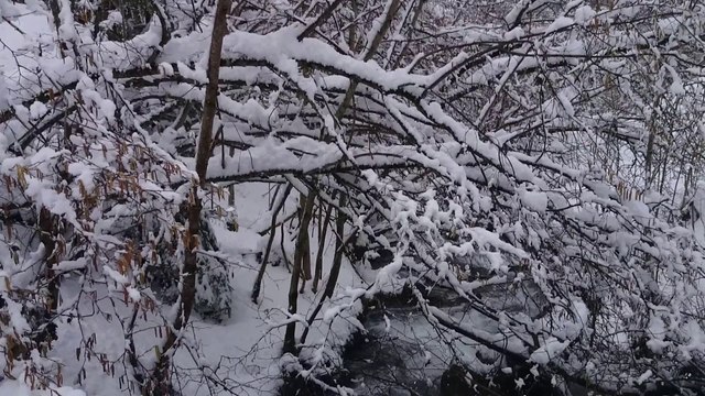 randonnée raquette autour de Saint Lary Soulan
