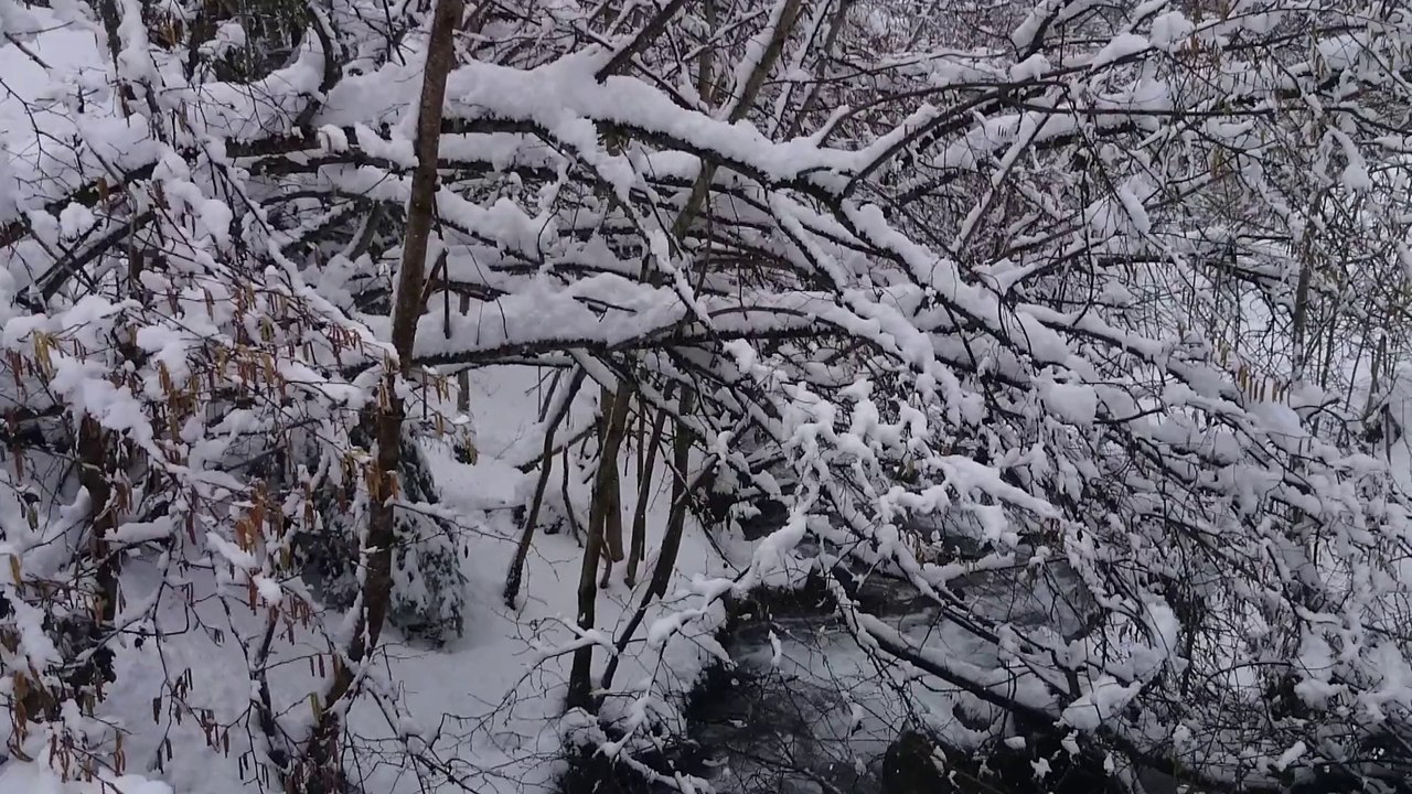 randonnée raquette autour de Saint Lary Soulan