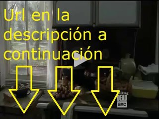The Walking Dead 4 Temporada 14 subtitulado Online