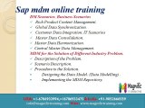 sap mdm online training tutorial in india