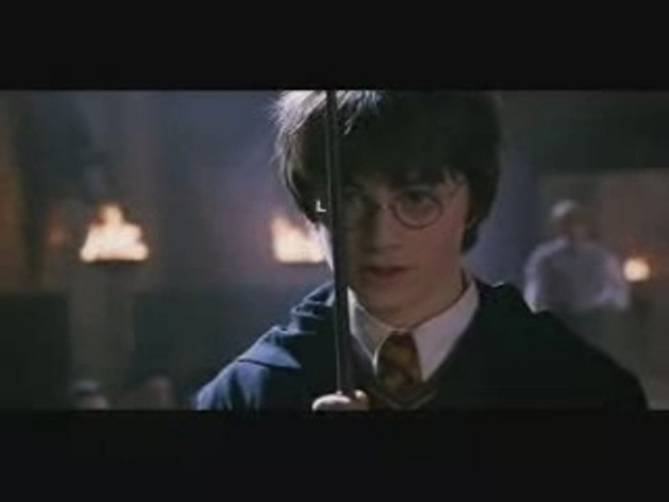 She Bangs Harry Potter