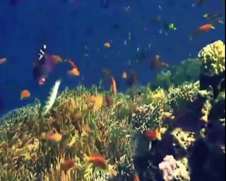 İlkay Akkaya - yaz beni yarim yarim