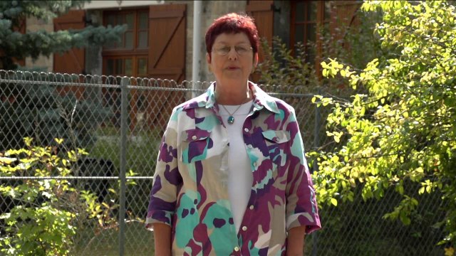 Les instances au Centre Hospitalier Théophile Roussel