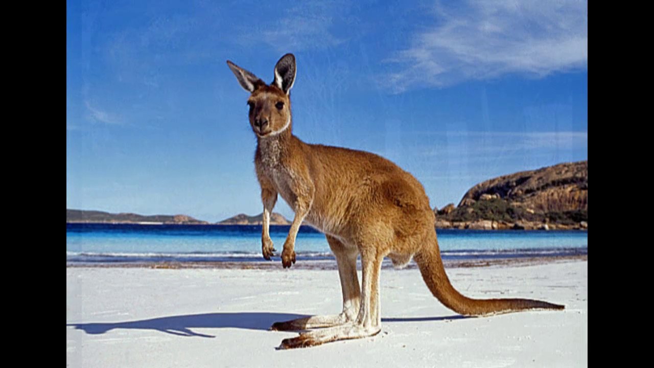 Australie