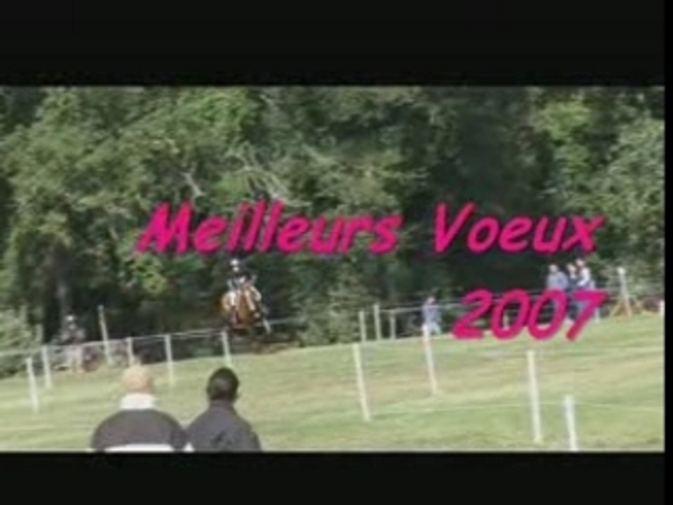 BONNE ANNEE 2007 !