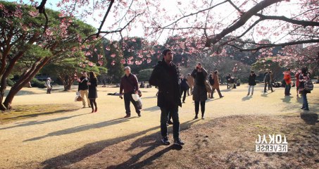 TOKYO REVERSE