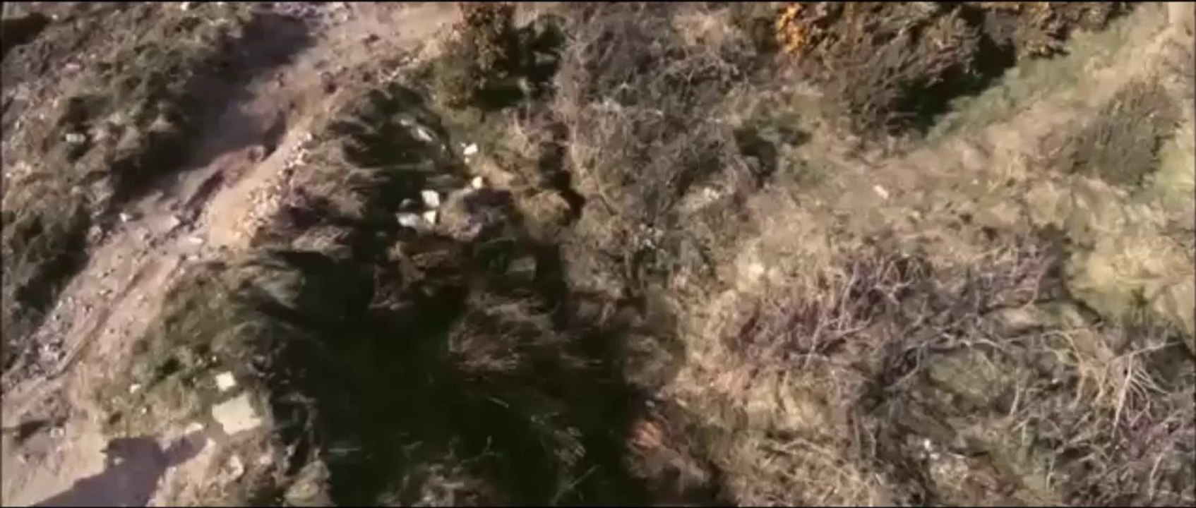 Downhill Mountain Biker Gets Some Air in Dublin