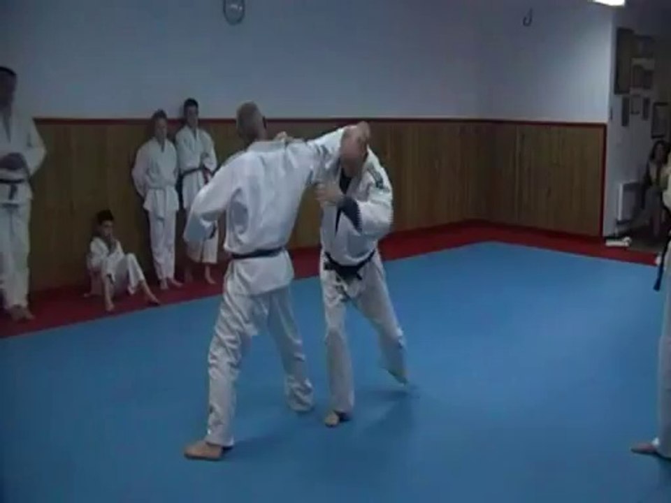 Jujitsu Rollin Philippe