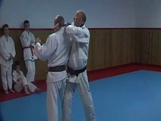 Jujitsu Rollin Philippe