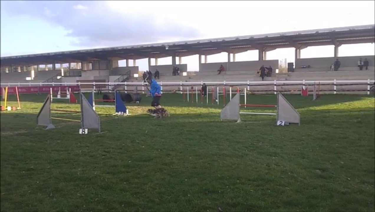 Fever Concours du Lion d'Angers 2014-03-23