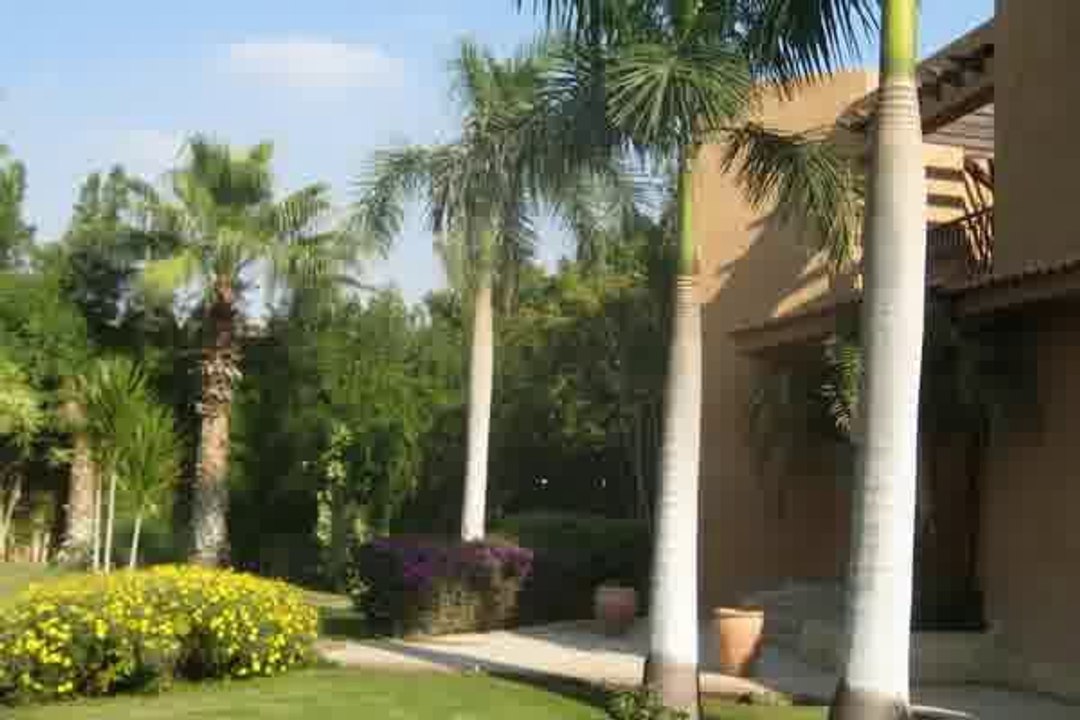 Villa for Rent  in El Gezira Compound Sheikh Zayed