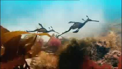 Awesome Video on Earth's World Wonderful Things