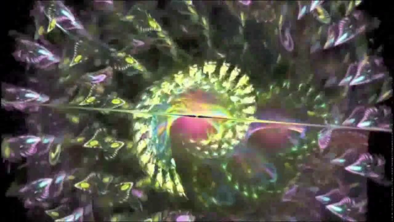 FUNKY vidéo