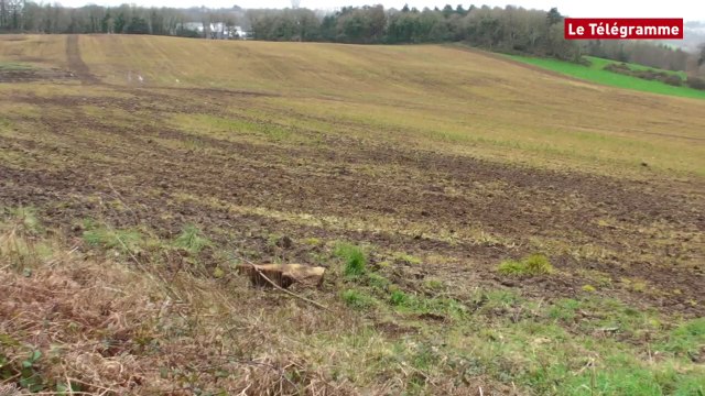 Quimper. Sus aux pesticides rappelle Eau et rivières