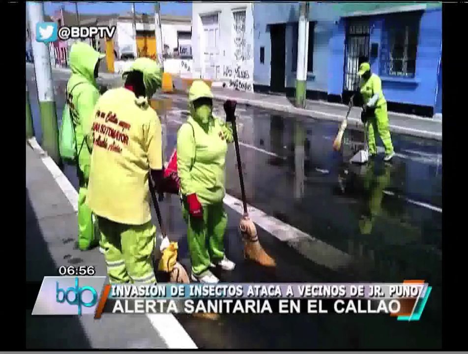 Vecinos lanzan alerta por zancudos y posible epidemia en Jr. Puno del Callao