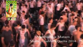 Shab e chehlum e Mola Hussain a.s 2014 (part 2) Quetta Pakistan
