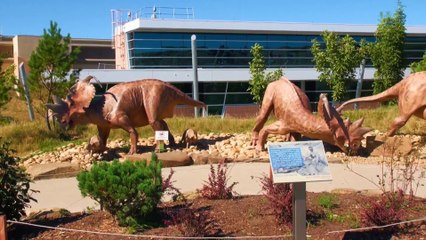 Around Tyrrel Museum in Drumheller