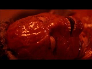 chrono - hell no hardcore