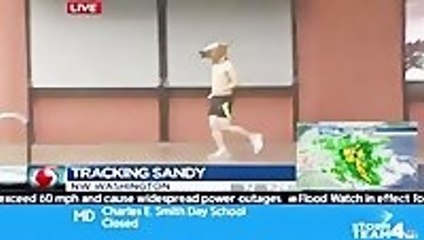 Shirtless, Horse Headed Man Jogs During Hurricane Sandy