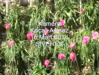 SİVEREK'TE HALKA AÇILAN İKİ PARK