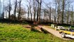 Miniature DailyMotion