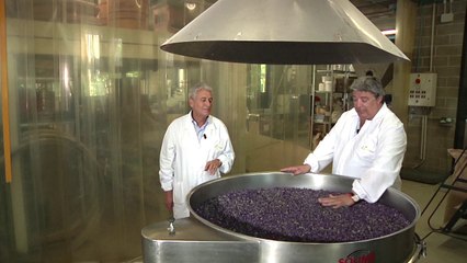 02.02 Tamisage par Vibration