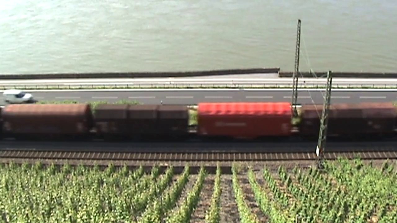 Züge beim Bopparder Hamm am Rhein, Dispolok 189, ICE-T BR411, 155, 152, 145, 460
