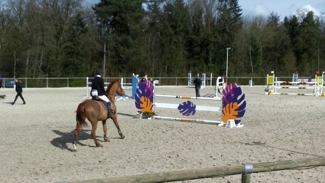 Concours Narcisse à Conches Mars 2014