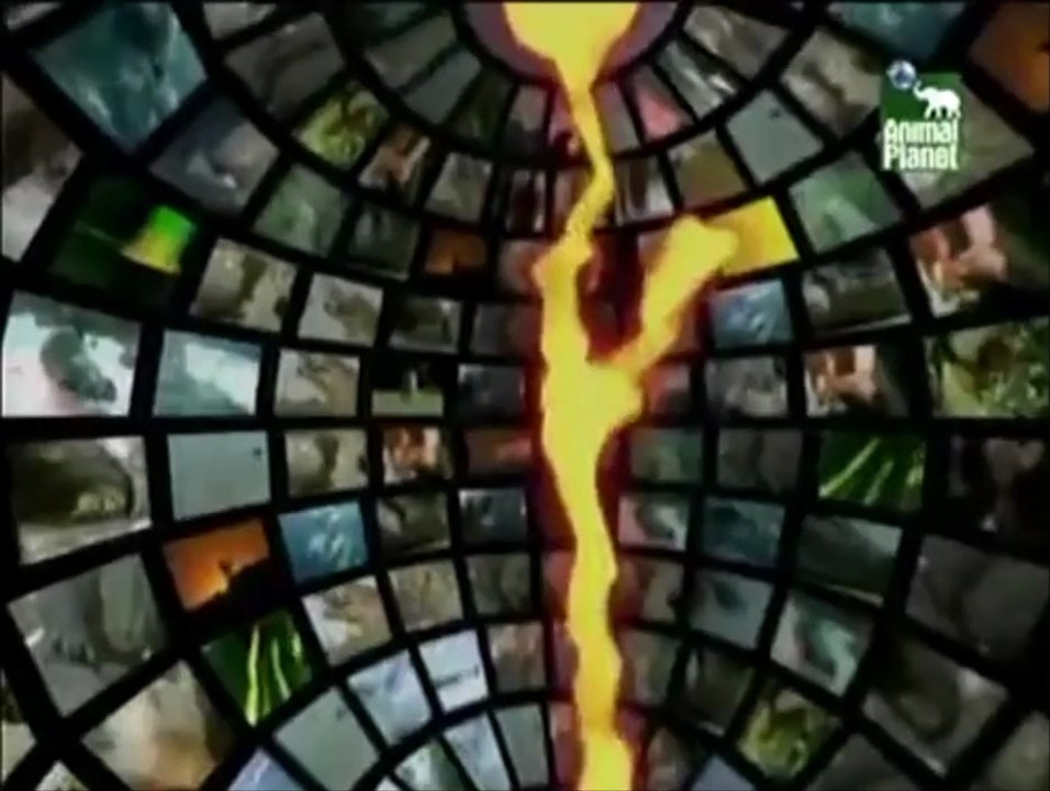 Mi película