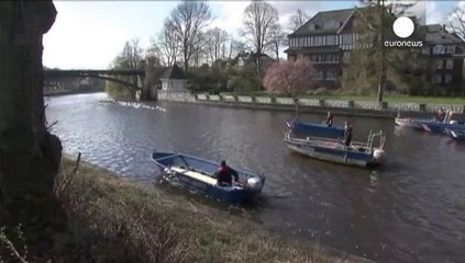 Swans released onto Hamburg lake for spring