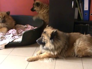 Jeux des 2 demi-soeurs