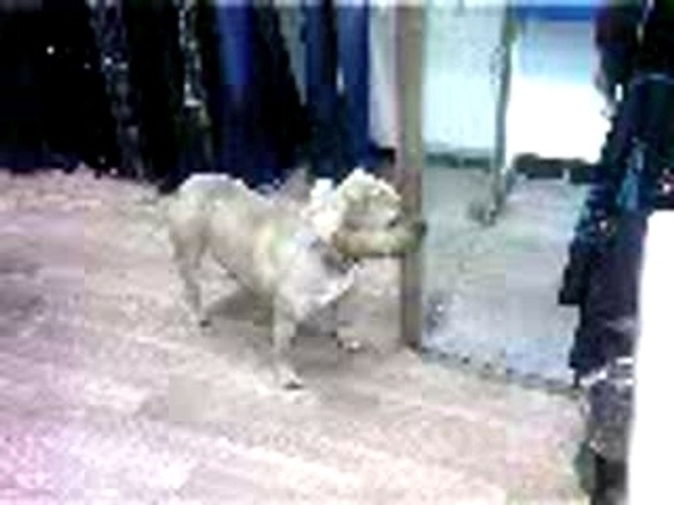 Vidéo-0019