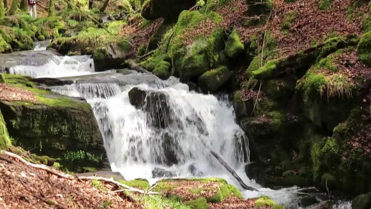 rando à LESTARDS près de TREIGNAC en CORREZE