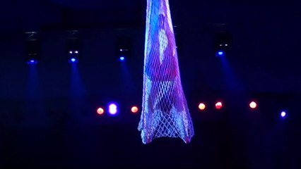 Aerial net act by Dariya