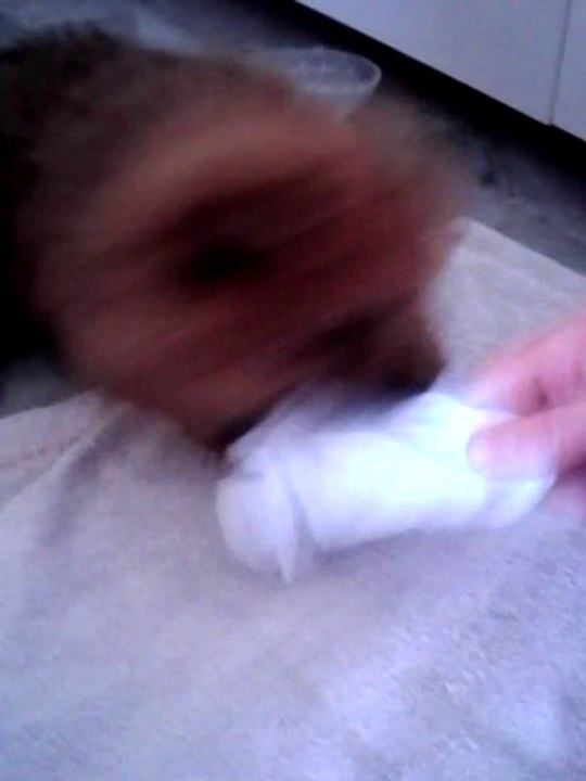 Toutou a craquer
