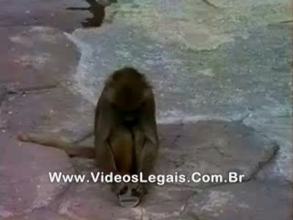 espejito_espelho