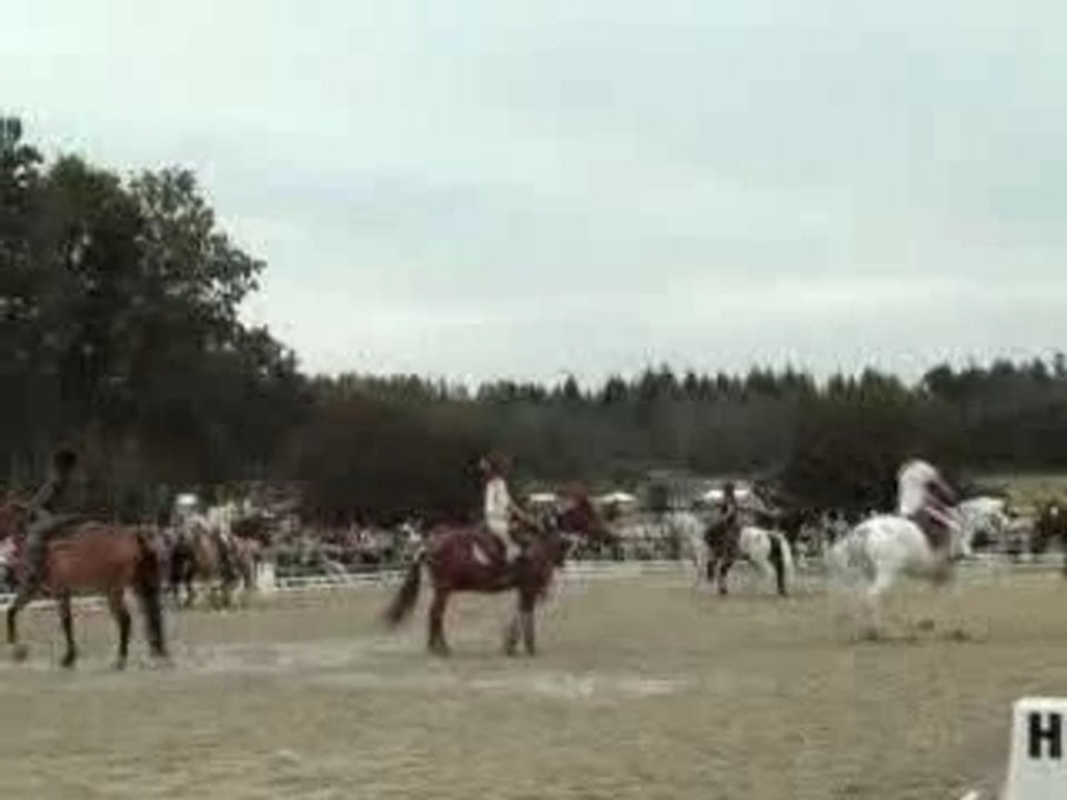 carousel La terre du middle ouest