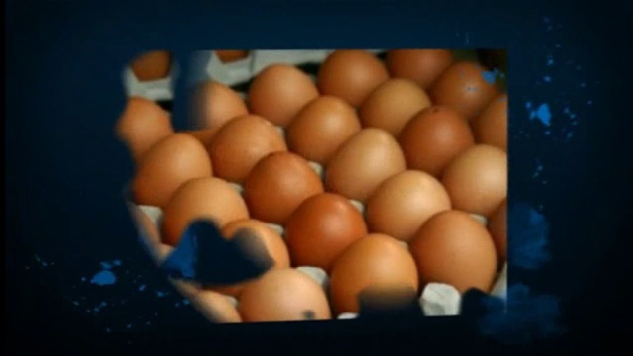 How Many Calories In An Egg