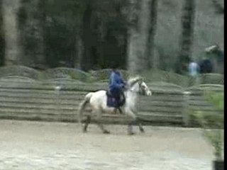 Concours à Hennebont